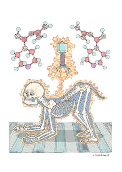 «La patologia» - Il Quadrumane