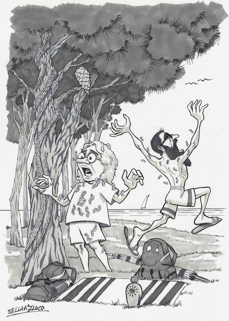 «Le squame» - Javier Ellapizloco