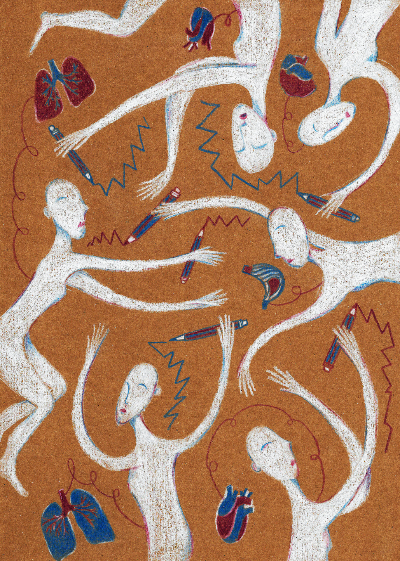 «Il contest» - Francesca Provero