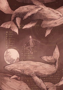  «L'alchimista» - Chiara Raimondi 