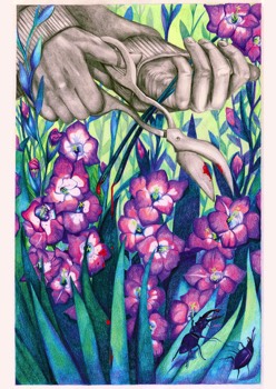  «La terra» - Stefania Nirella 