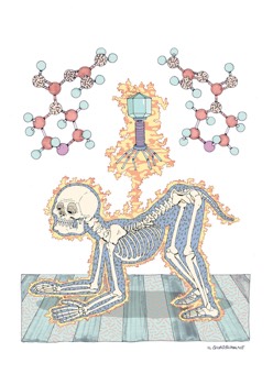  «La patologia» - Il Quadrumane 