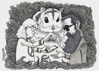  «Il rifugio» - Javier Ellapizloco 