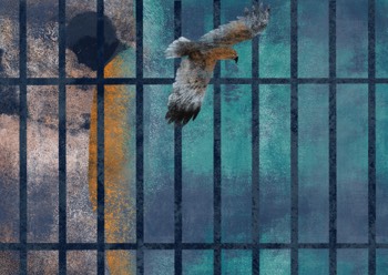  «La colonia» - Agnese Leone 